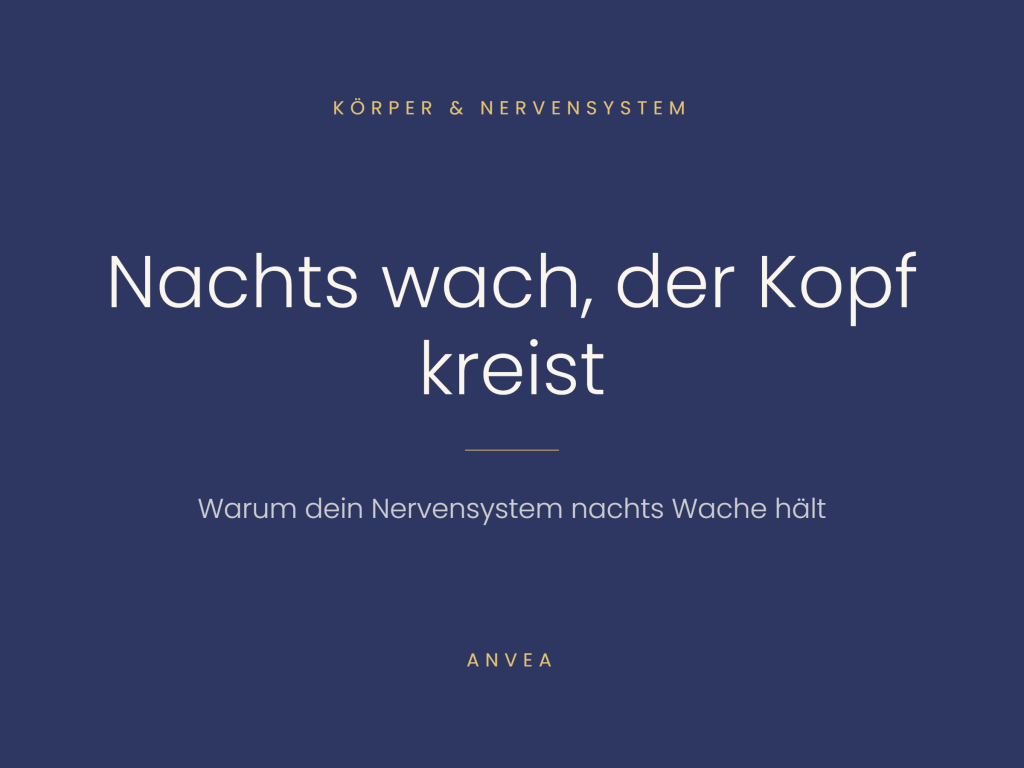 Nachts Wach 1024x768